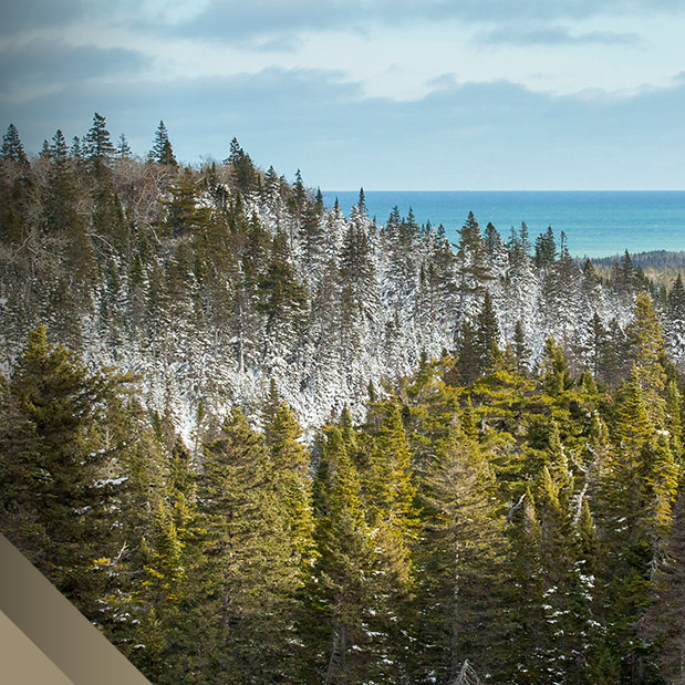 nouvelles ile anticosti