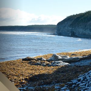 services safari_anticosti